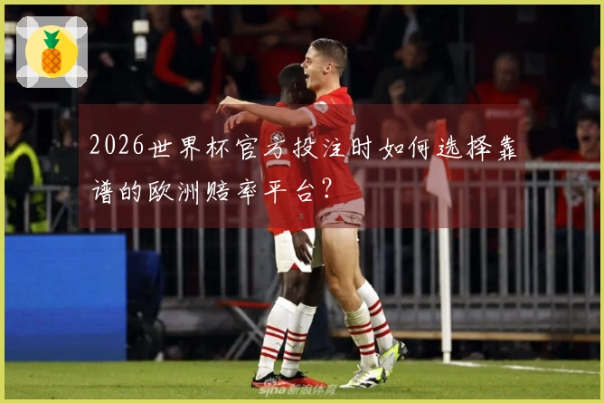 2026世界杯官方投注时如何选择靠谱的欧洲赔率平台?