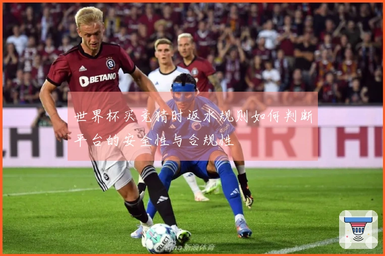 世界杯买竞猜时返水规则如何判断平台的安全性与合规性