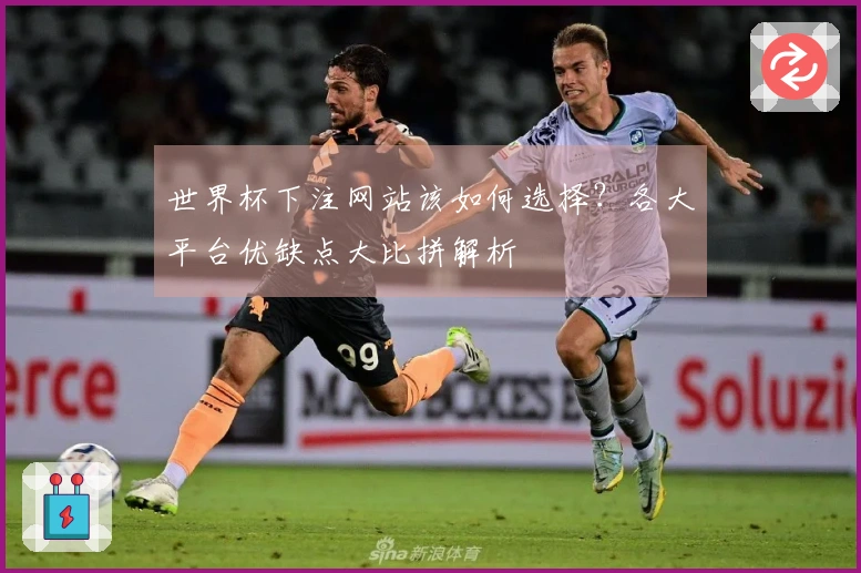 世界杯下注网站该如何选择？各大平台优缺点大比拼解析