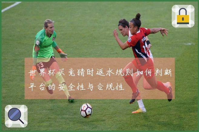 世界杯买竞猜时返水规则如何判断平台的安全性与合规性