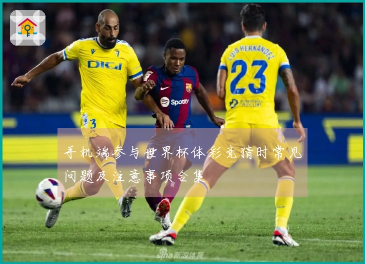 手机端参与世界杯体彩竞猜时常见问题及注意事项合集